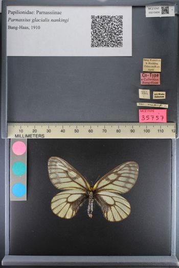 Media type: image;   Entomology 210424